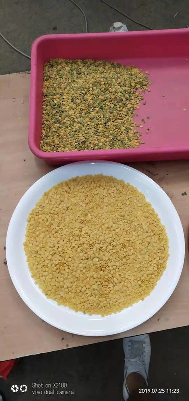 10t/h Wenyao Color Sorter, Linse Mung Dal Color Sorter