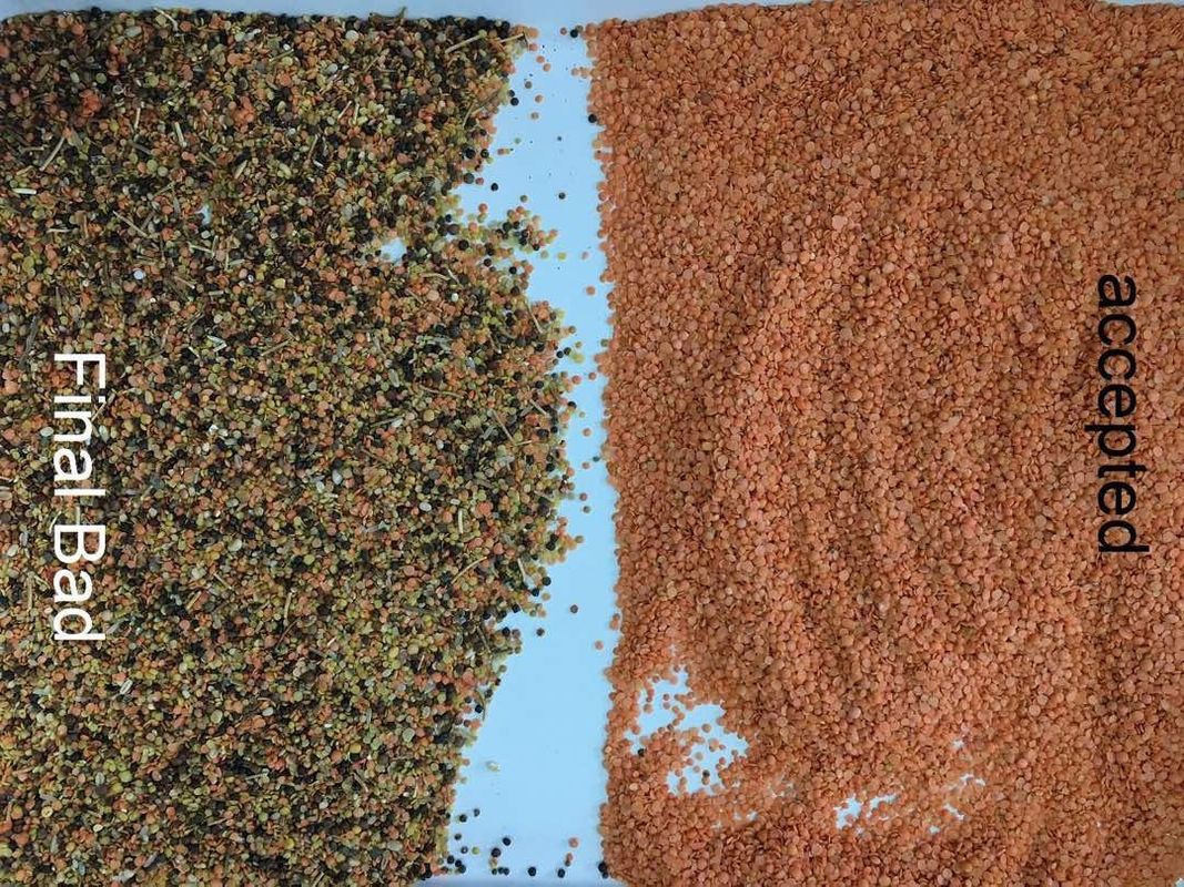 Schwarze Linse Dal Color Sorter 8 Rutschen 512 Kanäle mit variablem Licht LED