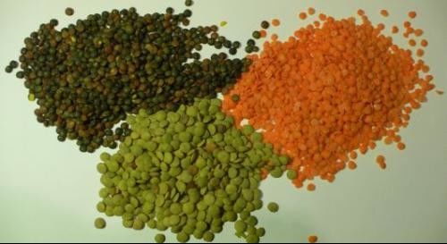 Schwarze Linse Dal Color Sorter 8 Rutschen 512 Kanäle mit variablem Licht LED