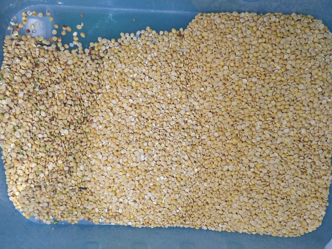 Schwarze Linse Dal Color Sorter 8 Rutschen 512 Kanäle mit variablem Licht LED