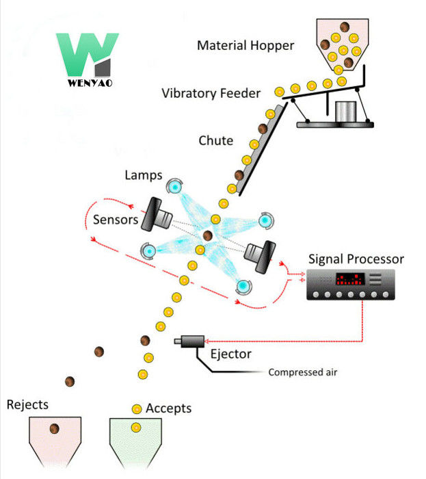 Intelligenter Pekannuss-Farbsortierer mit Hochgeschwindigkeits-RGB Nir Cameras
