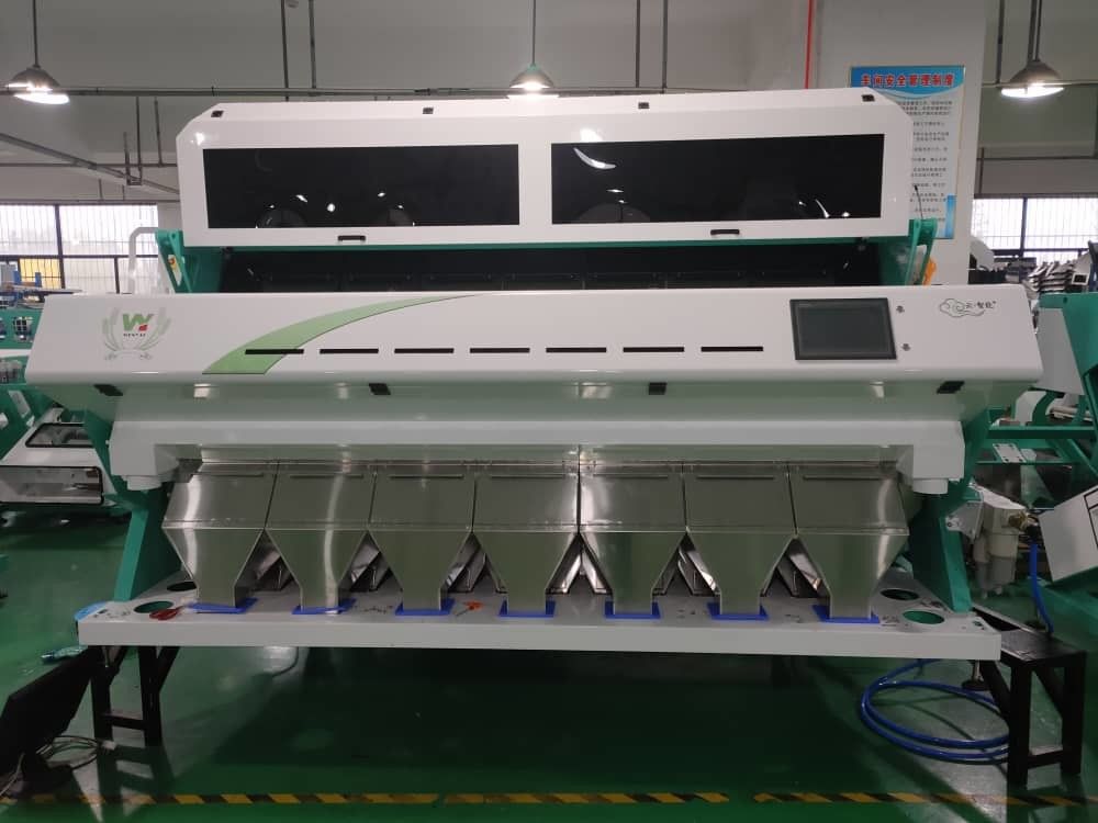 Langes Lebenszeit-Lotus Seeds Color Sorter With 5400Pixel CCD-Bild-Erwerbs-System