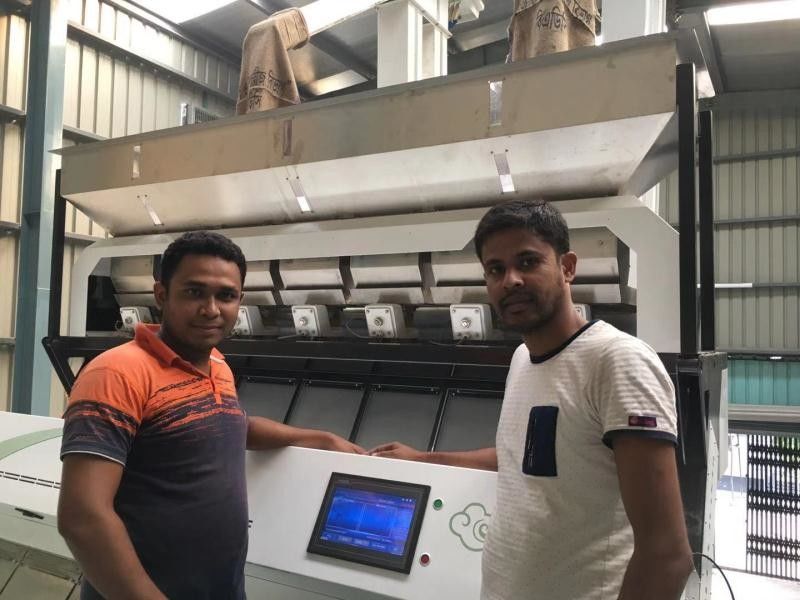 Langes Lebenszeit-Lotus Seeds Color Sorter With 5400Pixel CCD-Bild-Erwerbs-System