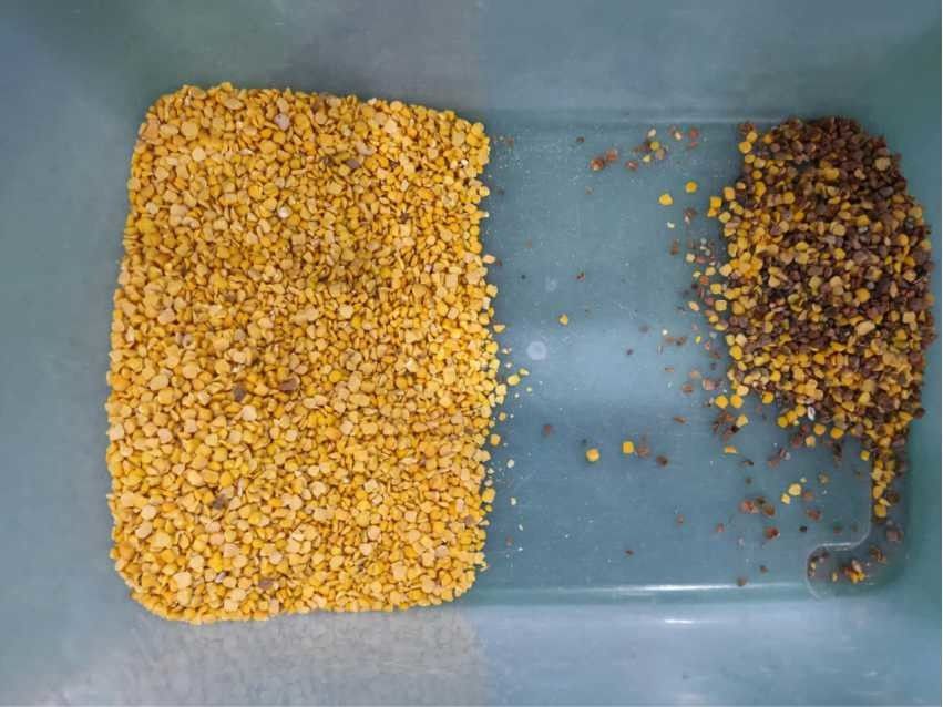 Gelbe Energiequelle Linsen-Bohnen-Farbsortierer-Taiwans Meanwell