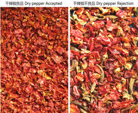 Wenyao Chute Typ AI Interintelligente Trockene Chili Sortierung Rote Chili Trennung Selbstreinigungsfunktion Farbsorter