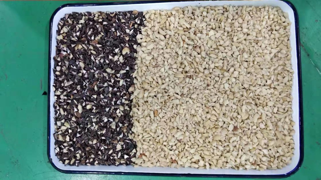 Filter-Kerzen-Nuss-Farbsortierer Japans CKD für das Trennen der weißen und schwarzen Farbe