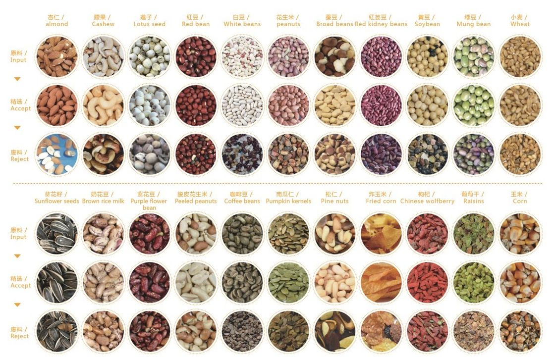 Automatischer Datenverarbeitungsrgb-Korn-Farbsortierer für Reis-Weizen-Mais Bean Seed