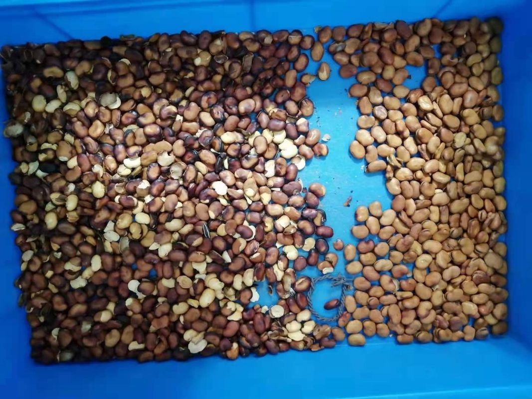 Breite Bean Color Separator With High-Entschließungs-einfarbige Kamera