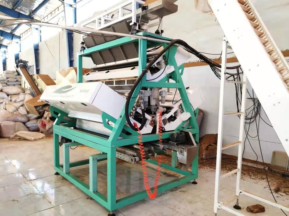 Tee-Farbsortierer-Maschine AC220V 7KW mit langem Licht der Lebenszeit LED