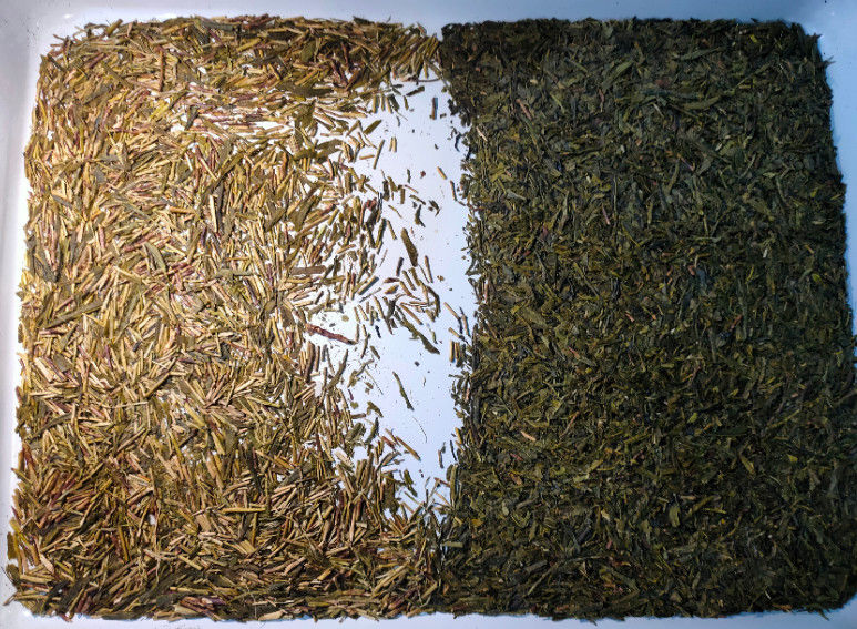 WENYAO Tea Sorting Machine High-Kapazität mit LED-CCD-Sensor