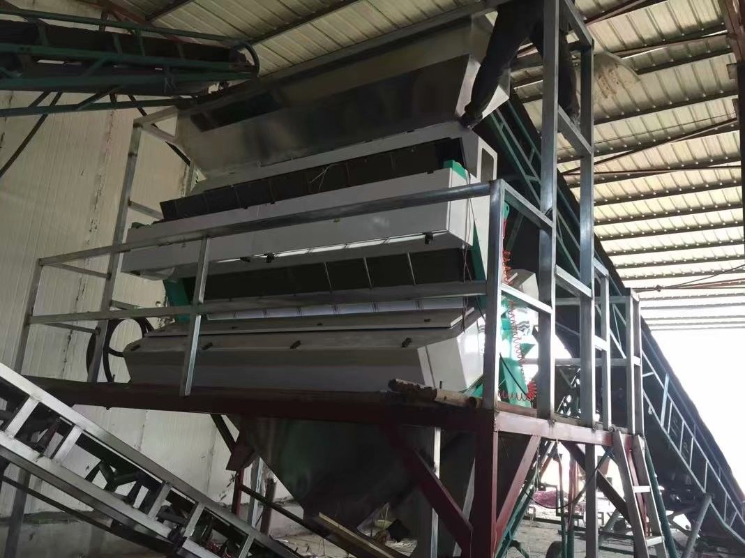 Optischer RGB-Weizen-Farbsortierer 7000kg/h mit zwei CD-Kameras