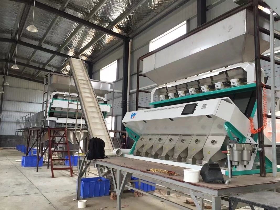 Dall-Sojabohnen-Linsen optischer Durchsatz der Rgb-Kamera-Farbsortierenden Maschinen-5000kg/H