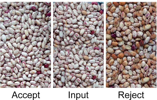 Automatisches CCD RGB Bean Color Sorter
