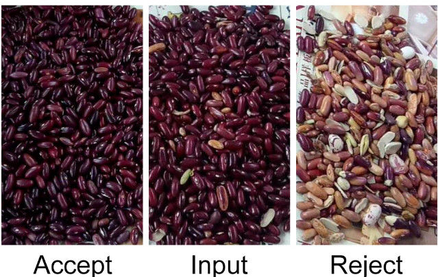 Automatisches CCD RGB Bean Color Sorter