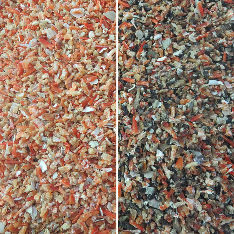 Hohes trockenes Garnelen-Sortieren Leistungsfähigkeit RGB Nir Sensor Color Sorter For