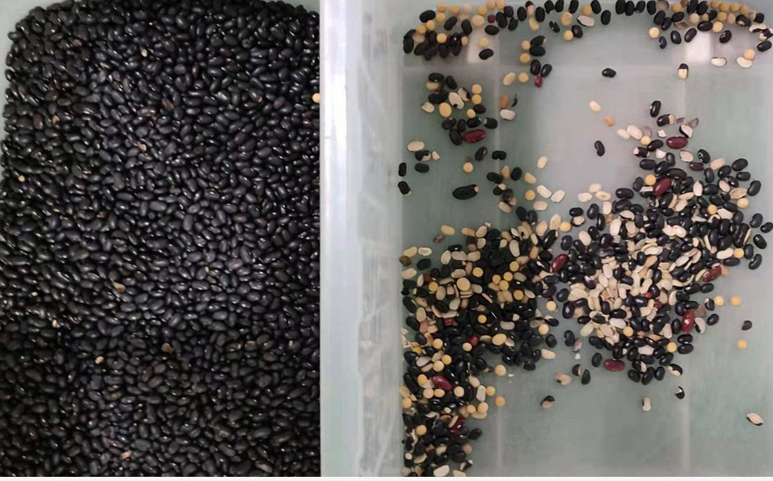 6 Rutschen Multifunktions-Wenyao Color Sorter With NIR Camera Rust Protection