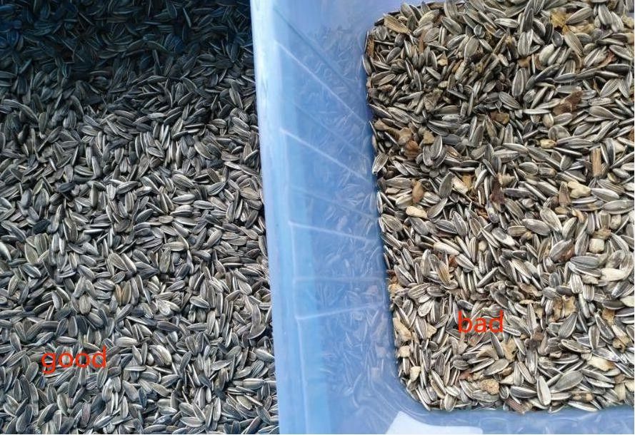 2 Kapazitäts-Sonnenblumensamen-Farbsortierer der Rutsche3tons/h für Reis-Weizen