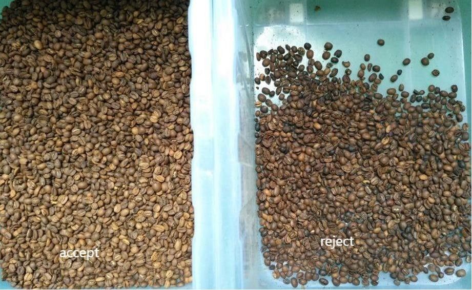 Wenyao 1 Chute 500kg/h Hochleistungs-CCD-Farbseparator Geröstete Kaffeebohnen Farbsortiermaschine Grüne Bohnen Farbsorter