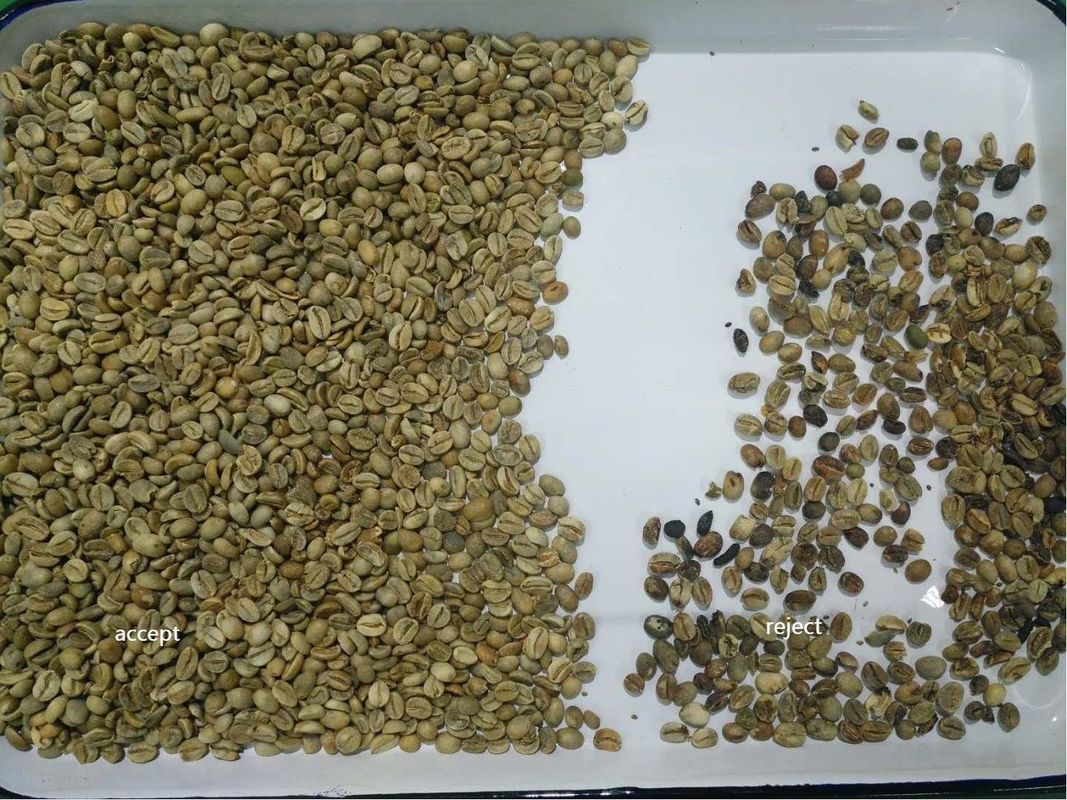 Wenyao 1 Chute 500kg/h Hochleistungs-CCD-Farbseparator Geröstete Kaffeebohnen Farbsortiermaschine Grüne Bohnen Farbsorter