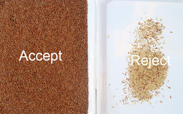 Sortierende Maschine 5 Tons-/Hreis-Farbsortierer-Paddy Broken Glutinous Rice Colors