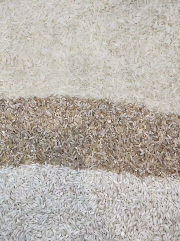 Sortierende Maschine 5 Tons-/Hreis-Farbsortierer-Paddy Broken Glutinous Rice Colors
