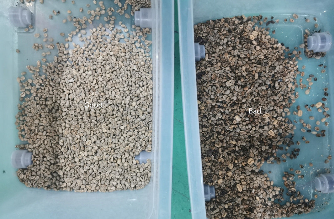 Rohe oder Kanäle Röstkaffee-Bean Color Sorters 1 Rutsche64