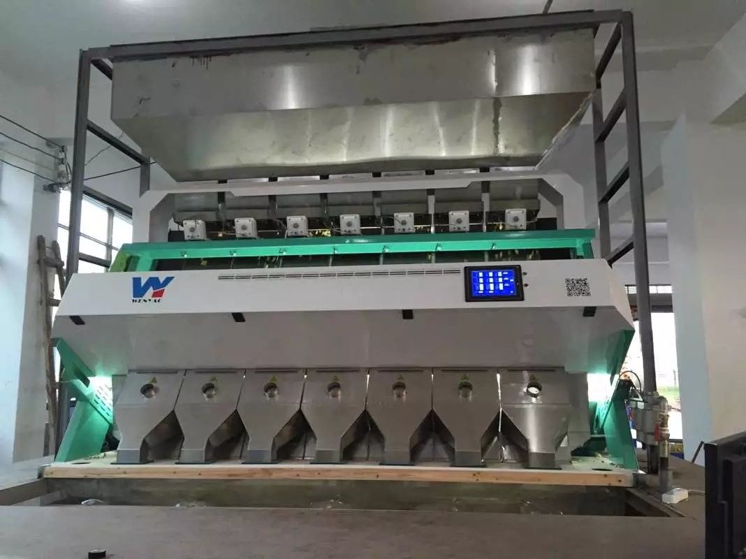 Garantie 2 Jahre 384 lenkt Koriander-Samen-Farbsortierer-Toshiba CCD-Sensor