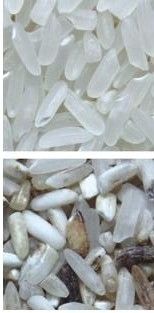 32 Channnels Mini Rice Color Sorter Machine Reis-Farbsortierende Maschine weitverbreitet in Indonesien-Markt
