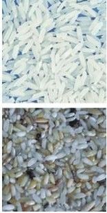 32 Channnels Mini Rice Color Sorter Machine Reis-Farbsortierende Maschine weitverbreitet in Indonesien-Markt