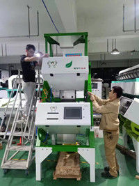 Tee-Farbsortierer mit Japan Toshiba optischem CCD-Sensor