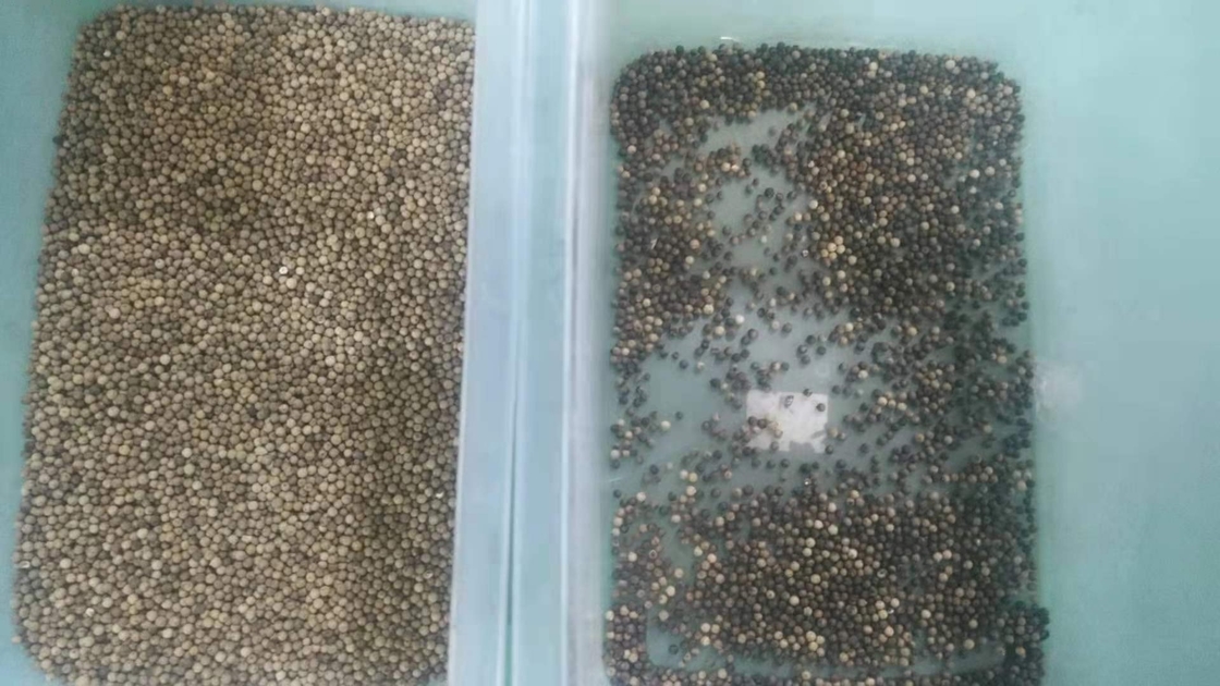 Reis-Farbsortierer-mehrfunktionales automatisches CCD des Mais-Quinoa-Weizen-indischen Sesams optisch