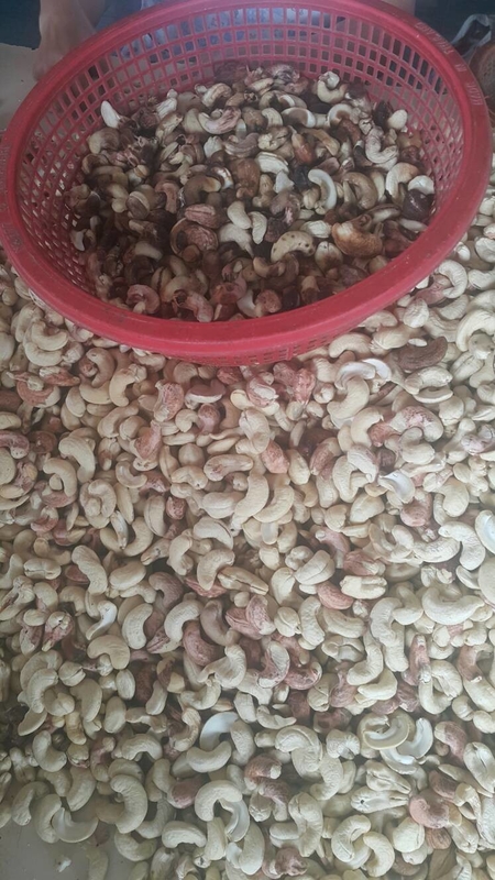 Mini Cashew Color Sorter Cashew-Farbsortierende Maschine mit 2 RGB-Kameras 32 Kanäle