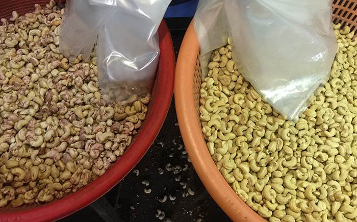 Mini Cashew Color Sorter Cashew-Farbsortierende Maschine mit 2 RGB-Kameras 32 Kanäle