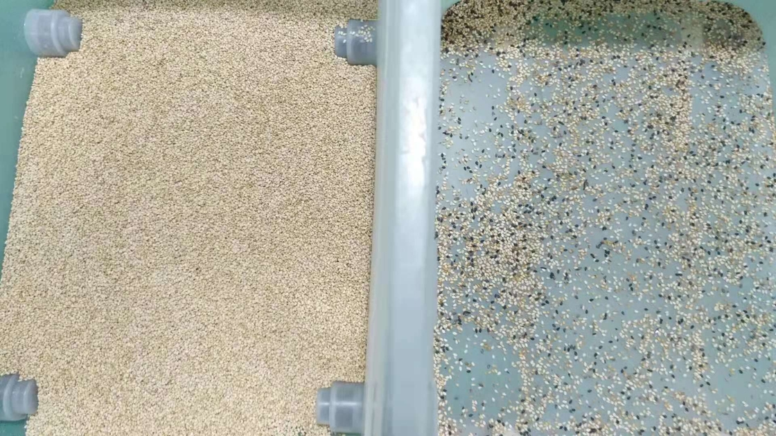 Pfeffer-Farbsortierende Maschine des indischen Sesams mit CER Zertifikat