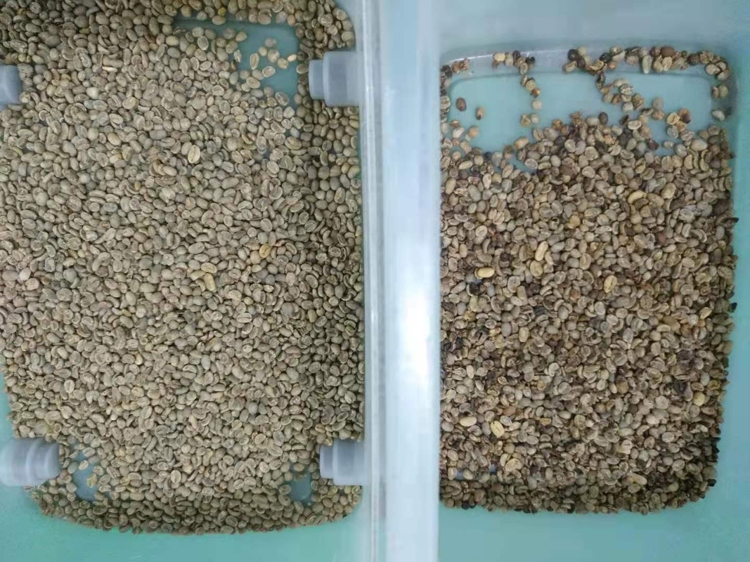 Automatischer Datenverarbeitungskaffee Bean Color Sorter Mini 32 Kanäle