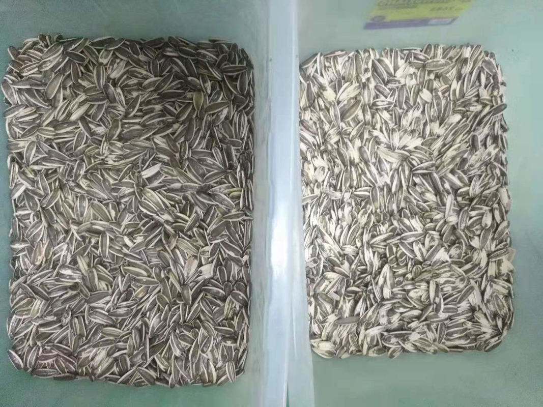 Reis-Farbsortierer-mehrfunktionales automatisches CCD des Mais-Quinoa-Weizen-indischen Sesams optisch