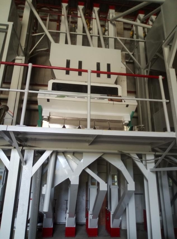 Hagebutte Berry Mustard Seed Color Sorter fünf Rutschen