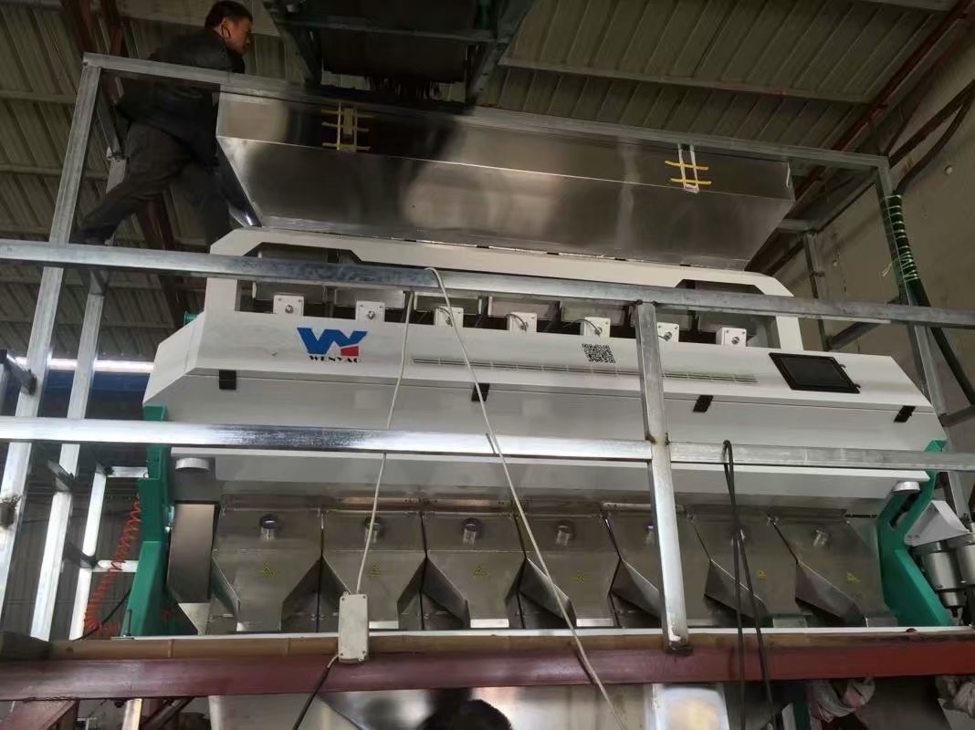 Angekochte Reis-Farbsortierer-Maschine mit Metallejektor