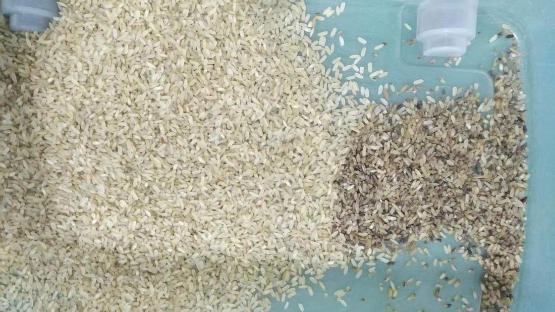 Kanäle CCDs Mini Brown Rice Color Sorting Maschinen-32