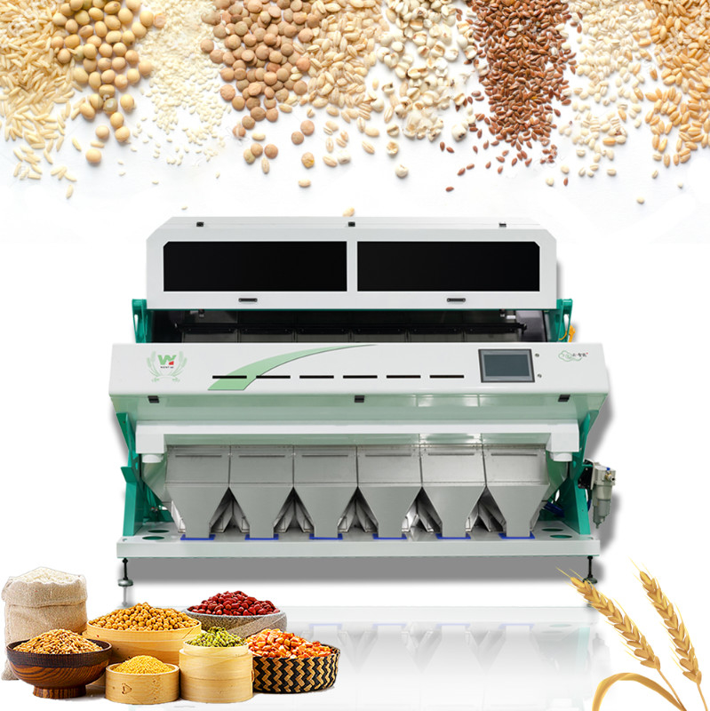 6 Rutsch-Bean Color Sorting Machine Bean-Farbsortierer