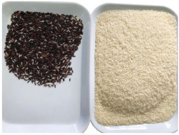 Kanäle CCDs Mini Brown Rice Color Sorting Maschinen-32