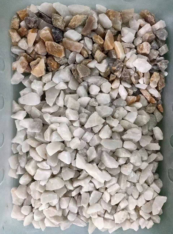 Mit hohem Ausschuss 8 Tons-/Herz-Farbsortierer mit Förderband