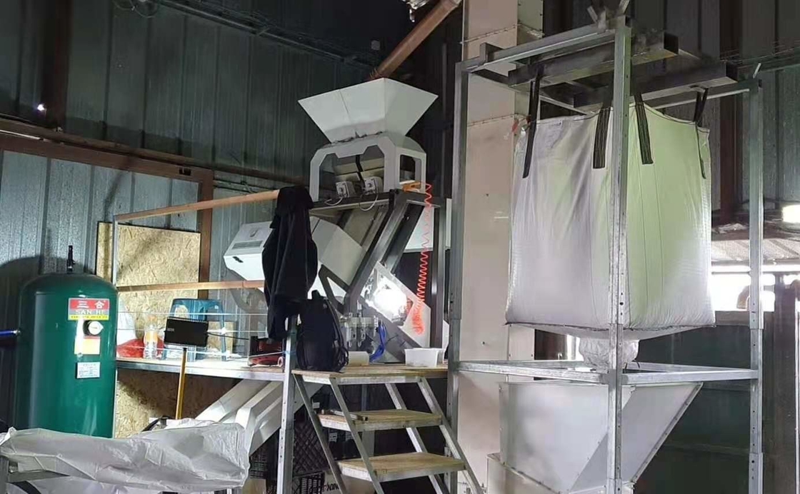 Macadamia-Nuss sät Rutschen Bean Grain Color Sorting Machines 1 64 Kanäle