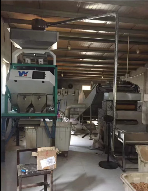 Macadamia-Nuss sät Rutschen Bean Grain Color Sorting Machines 1 64 Kanäle
