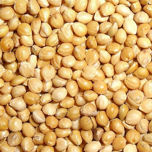 Wenyao CCD-Farbsortierer mit Wifi-Fernbedienung für Mais-Hafer-Sorghum-Kakaobohne