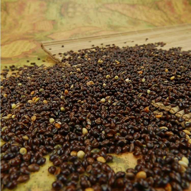 Automatischer Kaffee Bean Color Sorter Machine For, der Bohnen sortiert