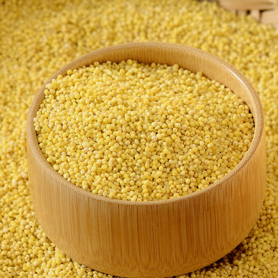 Sortierende Maschine Wenyao Top Quality Millet Colors populär in den Vereinigten Staaten