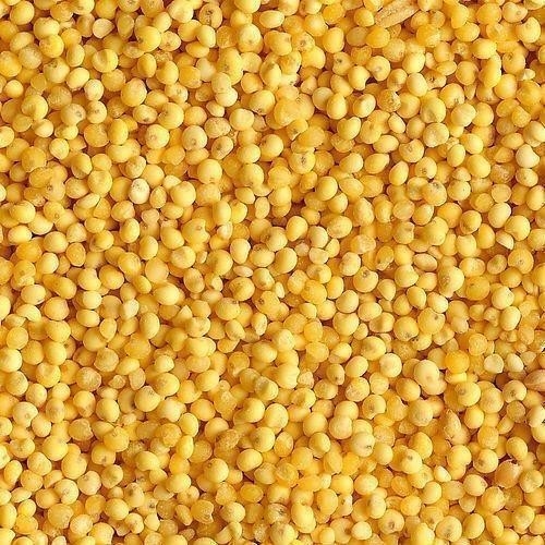 Intelligente Mini Rice Color Sorter-Haferfarbesortierende Maschinen für Sortiererfarbe
