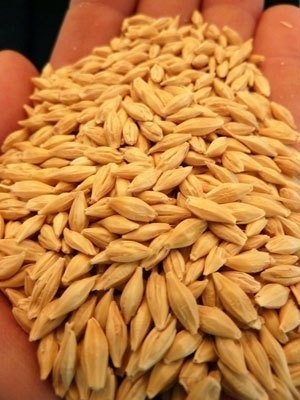 CCDs optische Kanäle der Gersten-Weizen-Farbsortierenden Maschinen-32