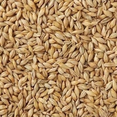 CCDs optische Kanäle der Gersten-Weizen-Farbsortierenden Maschinen-32